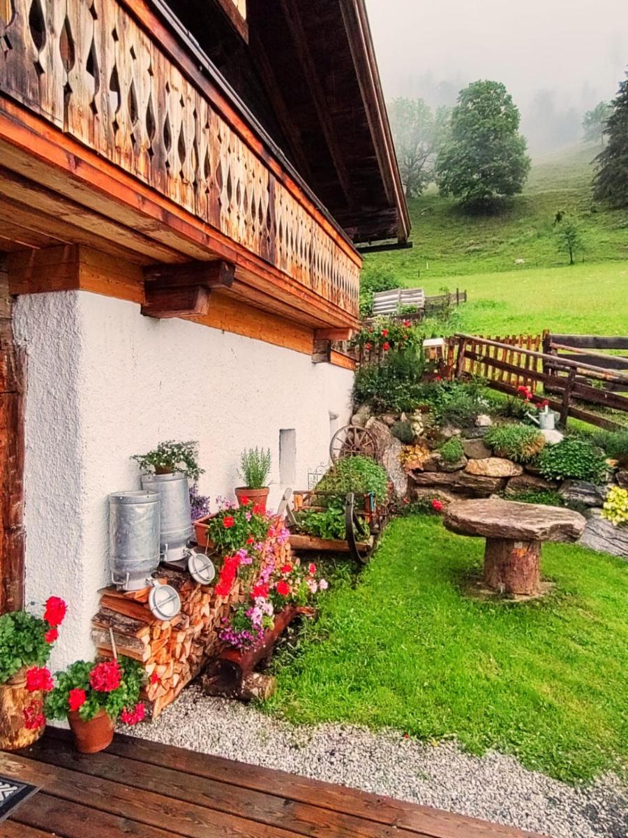 das alte Haus - Housity