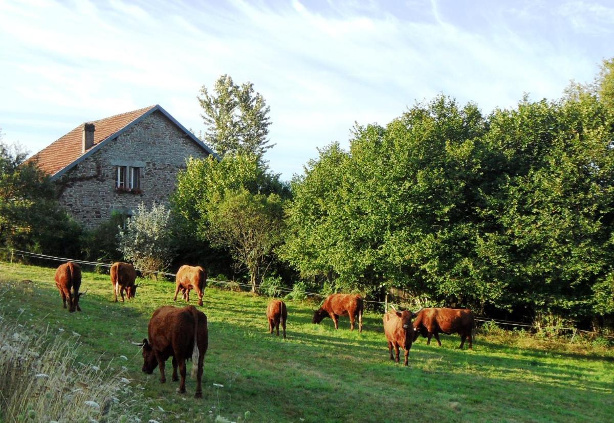 Domaine du Sable - Housity