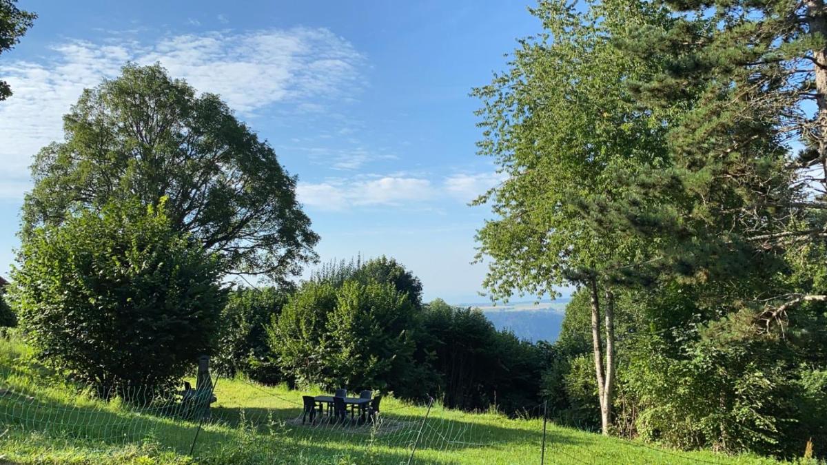 Schwarzwald Landhaus Leonore mit Alpenblick, Erdgeschosswohnung mit großer Gartenterrasse und Parkplatz - Housity