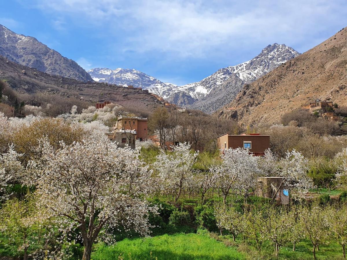 Dar Assarou - Toubkal National Park Lodge - Housity