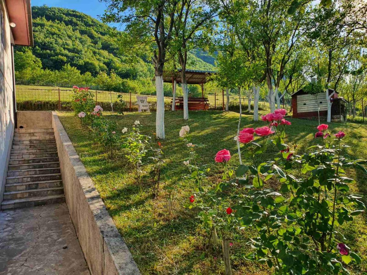 Bosnian Hobbiton - Housity