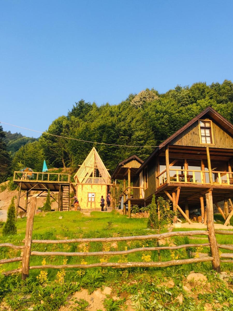 Zirve dogançay - Housity