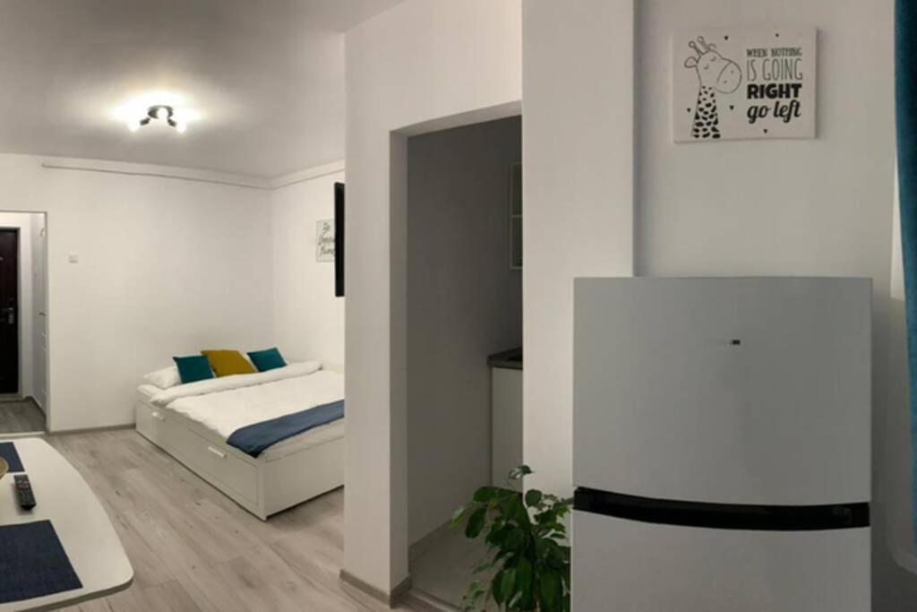 Cozy Studio Apartament Zalau - Housity