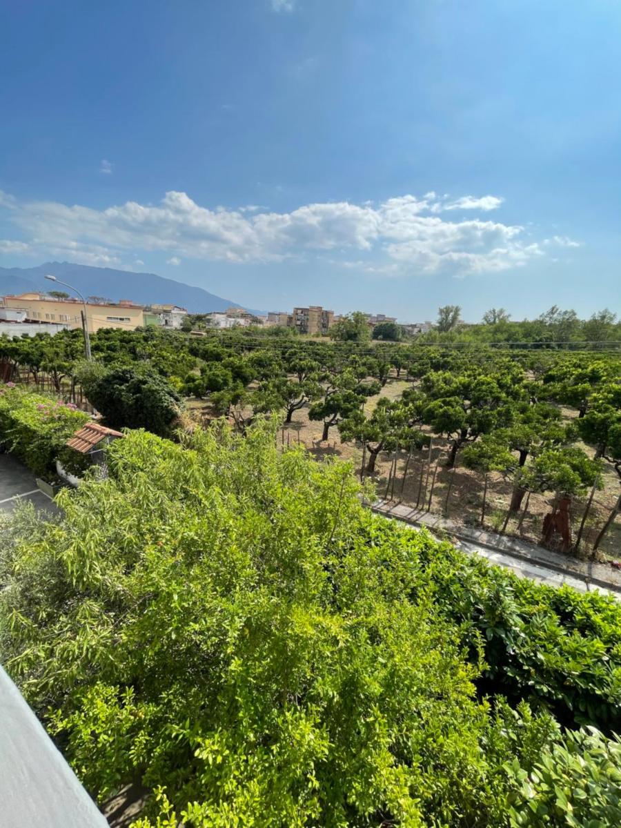 Vesuvius garden - Housity