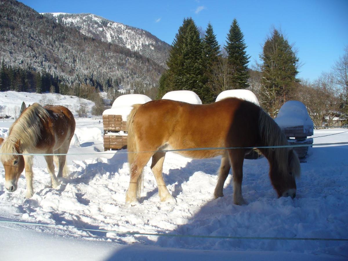 Ferienwohnungen Hamberger - Housity