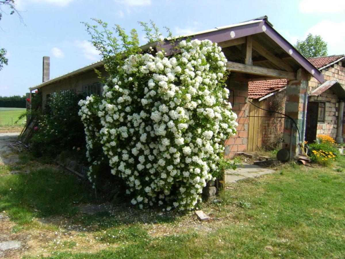 Maison familiale avec piscine partagee a Moissac jardin - Housity