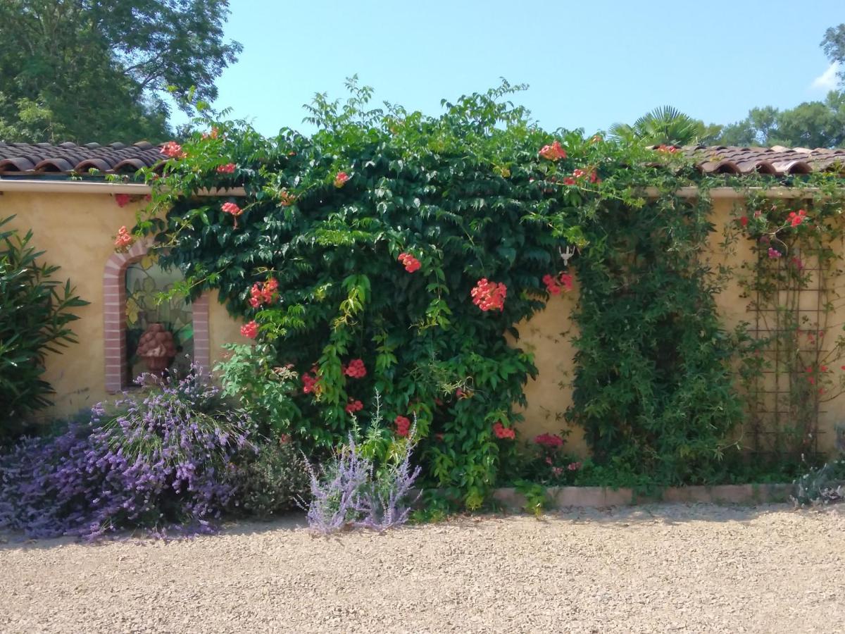 Albi à proximité, maison d'hotes les oliviers - Housity
