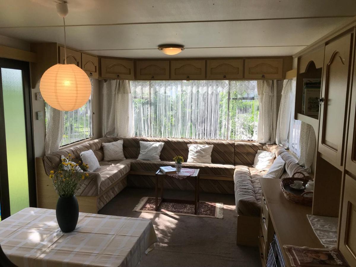 V zahradě u koupaliště - Housity