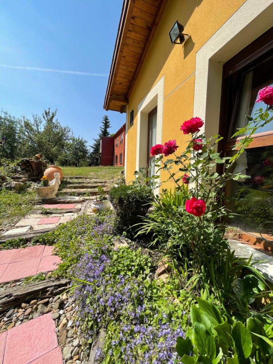 Hostel Arenos - Housity