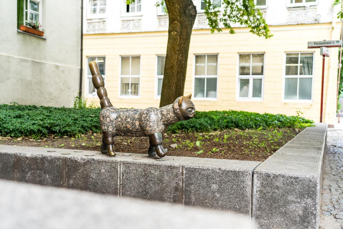 Old Town Cat Apartment - Housity
