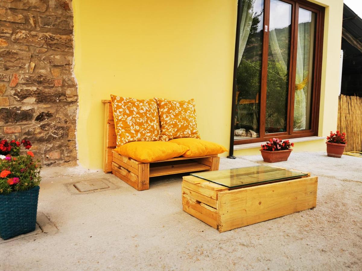 Agriturismo B&B Il Girasole - Housity