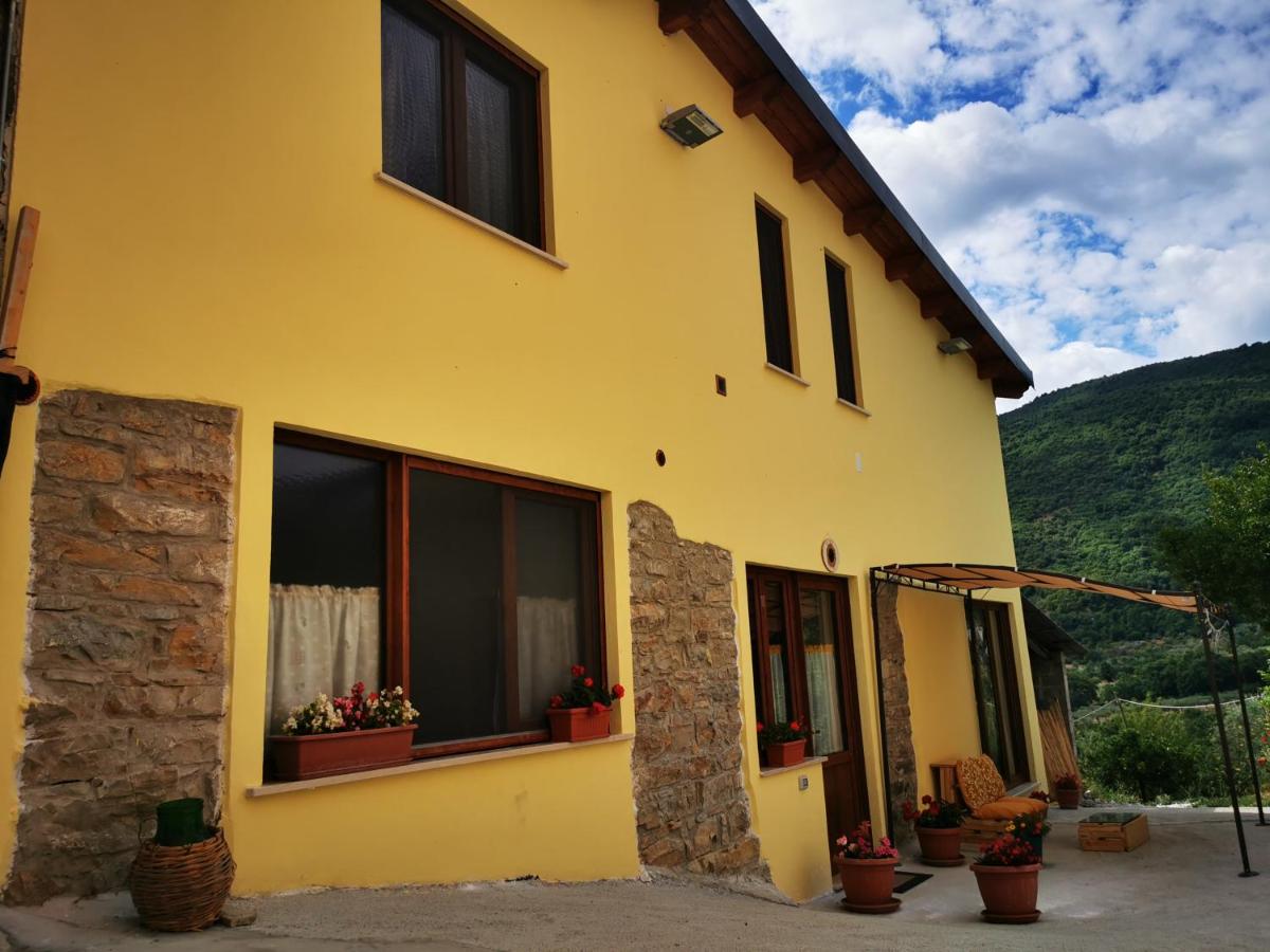 Agriturismo B&B Il Girasole - Housity