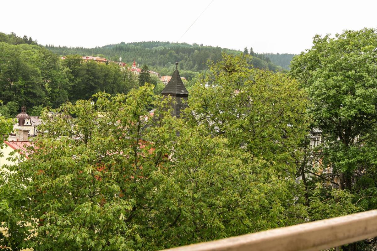 Rose - Housity
