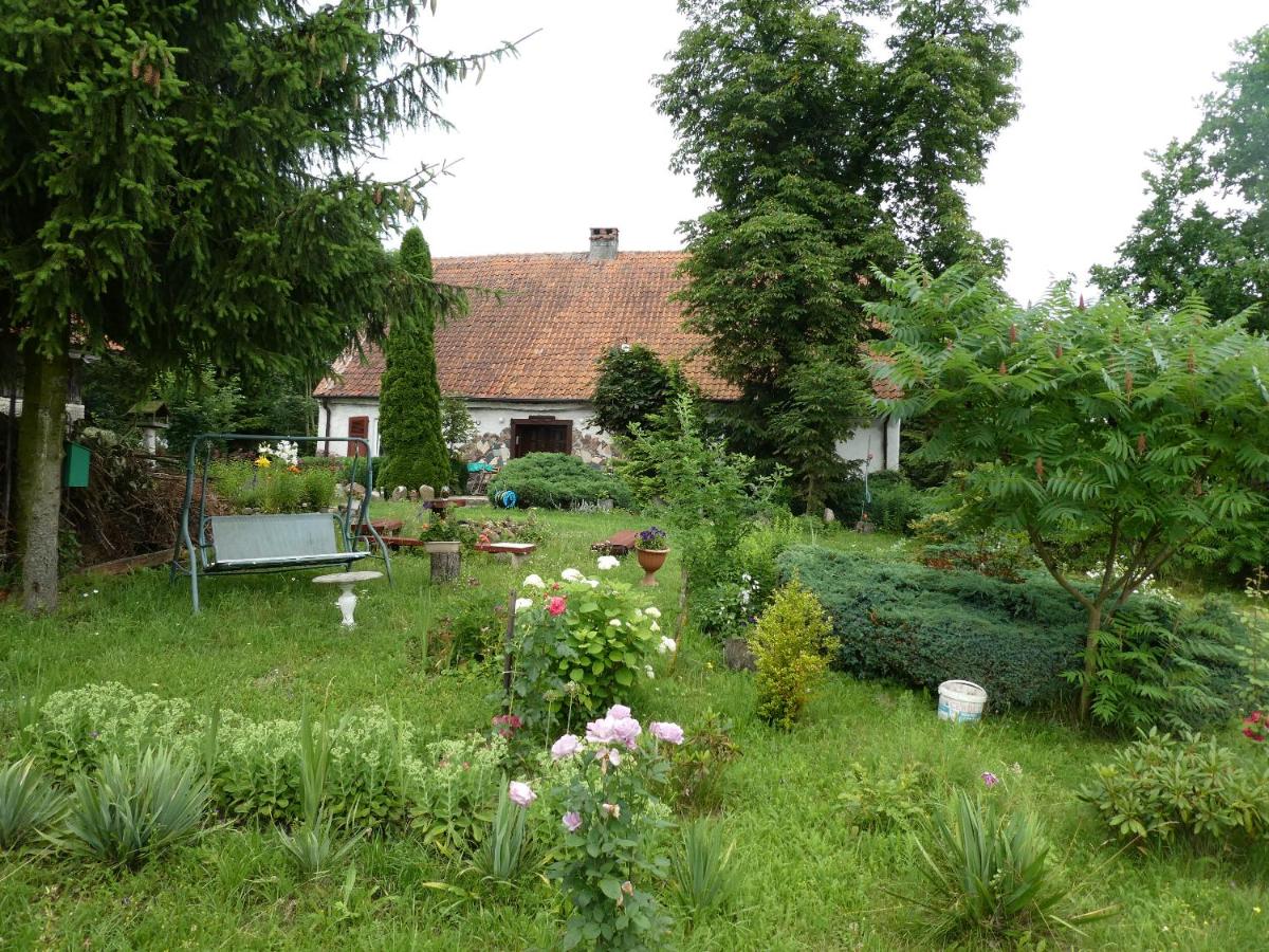 Pod Kasztanami Blanki - Housity