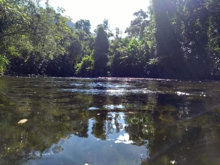 Casa Cachoeira - Housity