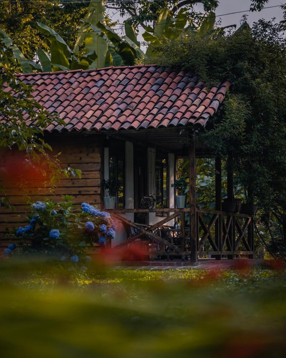 Menabde Winery - Housity