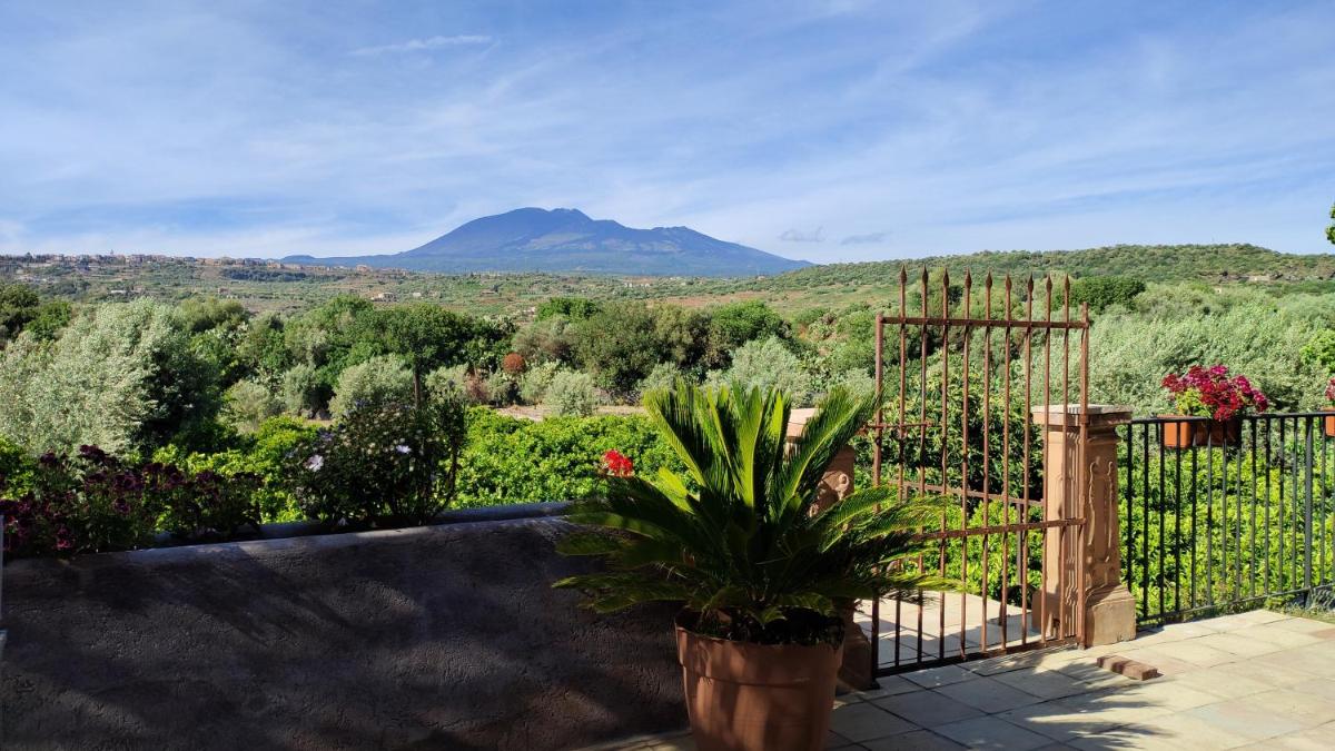 Lavica - Country Guest House - Housity