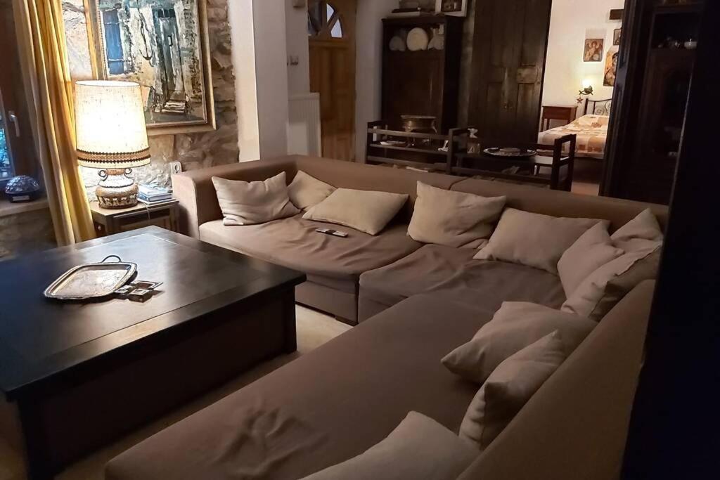Vila primitoare cu piscina pentru gasca mare - Housity