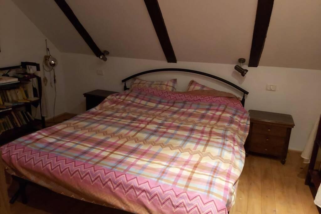 Vila primitoare cu piscina pentru gasca mare - Housity
