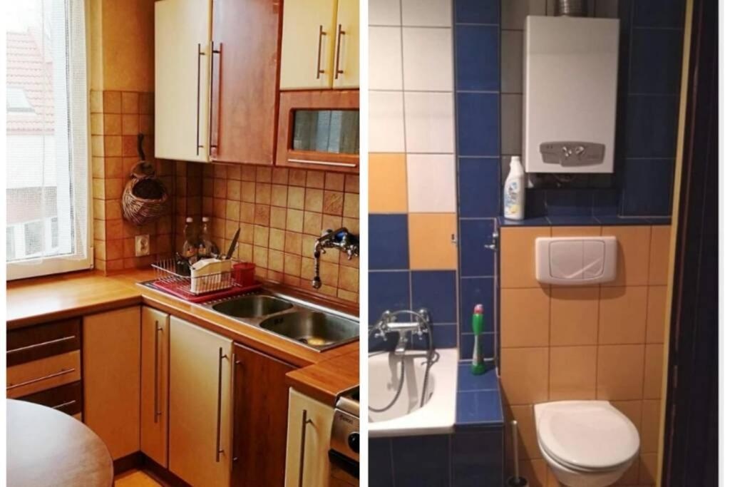 Spokojne mieszkanie w centrum - Housity