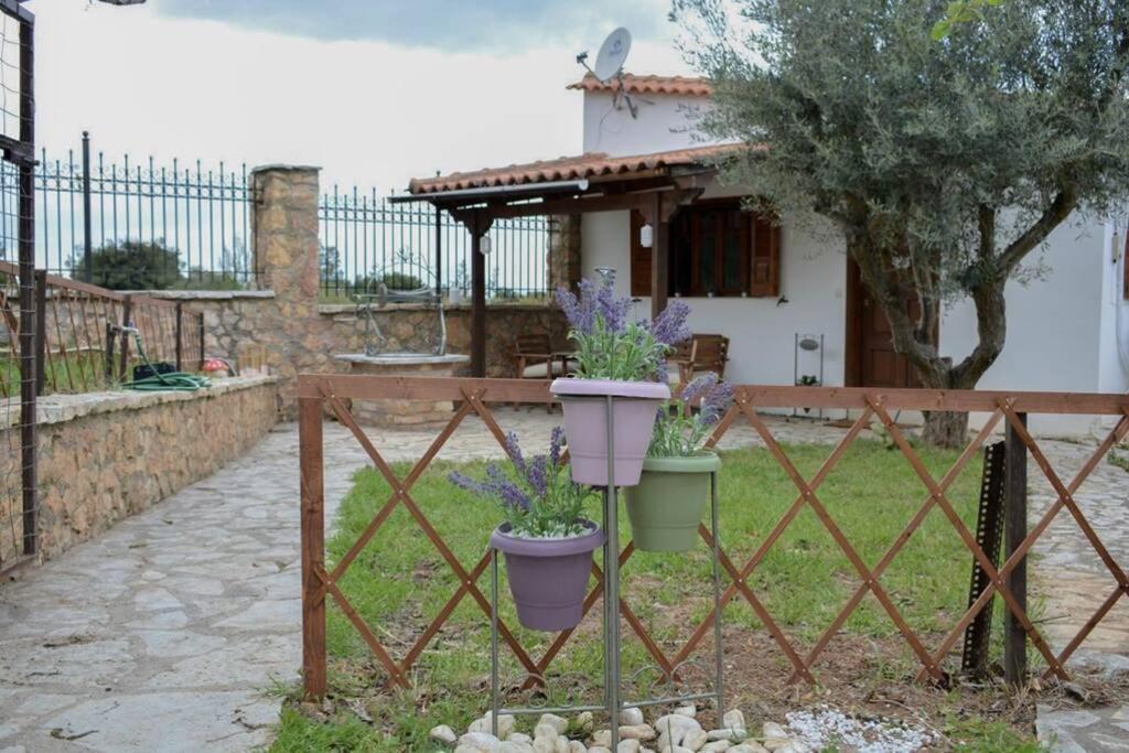 Suitetrails - D.A Cozy maison