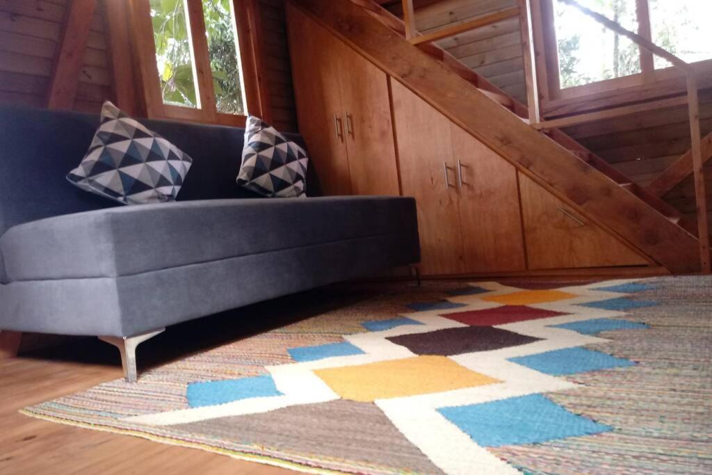 La Casa En El Bosque - Housity