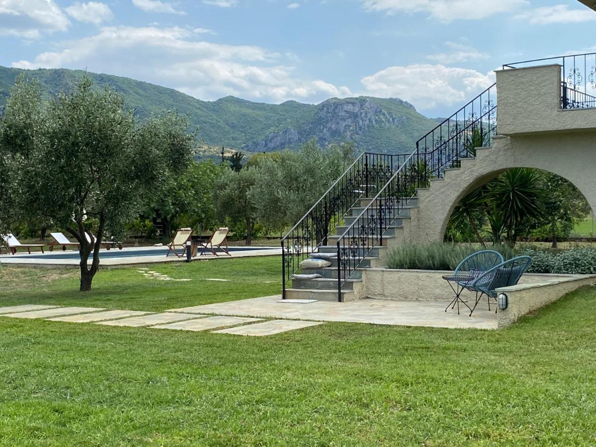 Villa Eleonas by the Sea with private pool - Housity