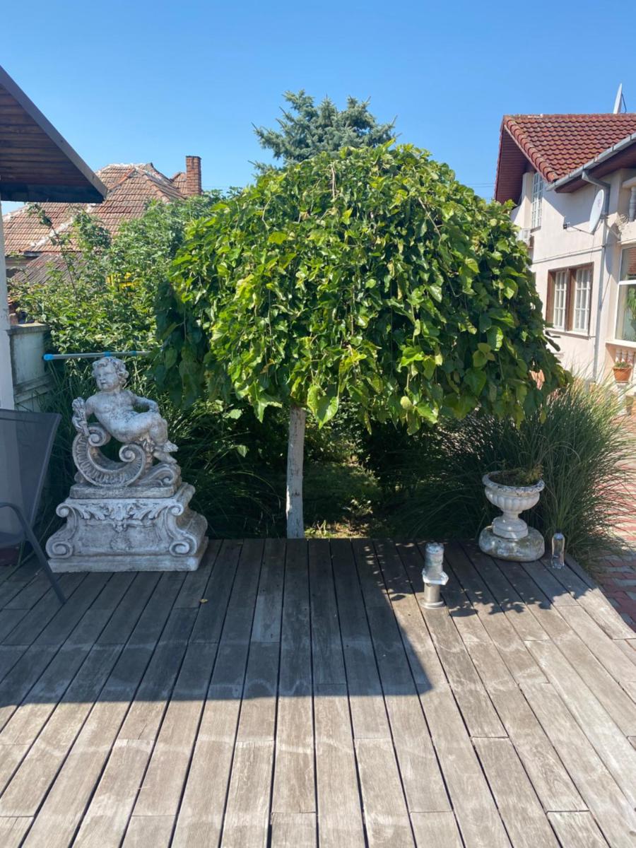 Leisure House Hunedoara - Housity