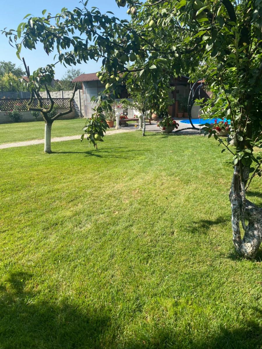 Leisure House Hunedoara - Housity