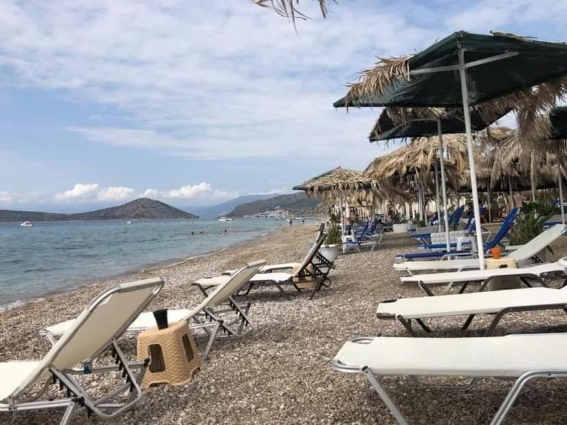 Top of the hill in Drepano-Nafplio, Beautiful view - Housity