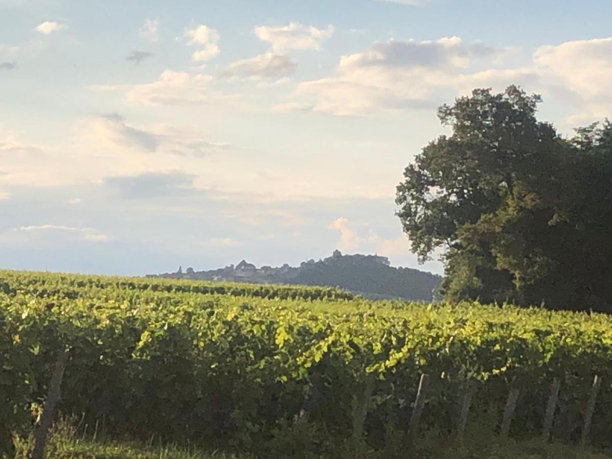 Avre de Paix au milieu des Vignes - Housity