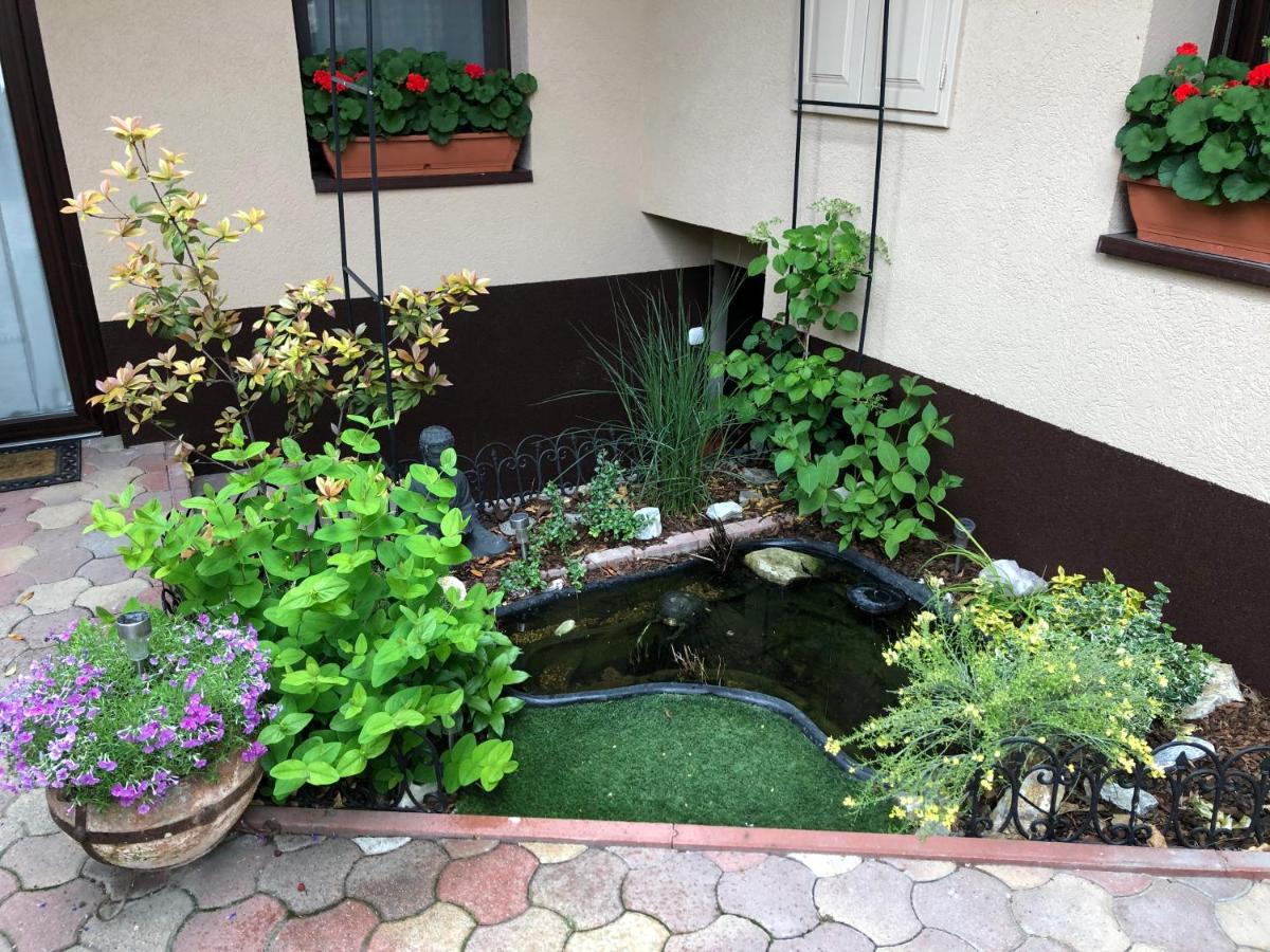 Milla Apartman - Housity