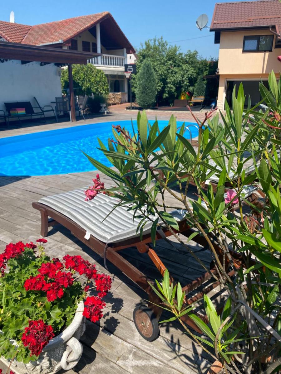 Leisure House Hunedoara - Housity