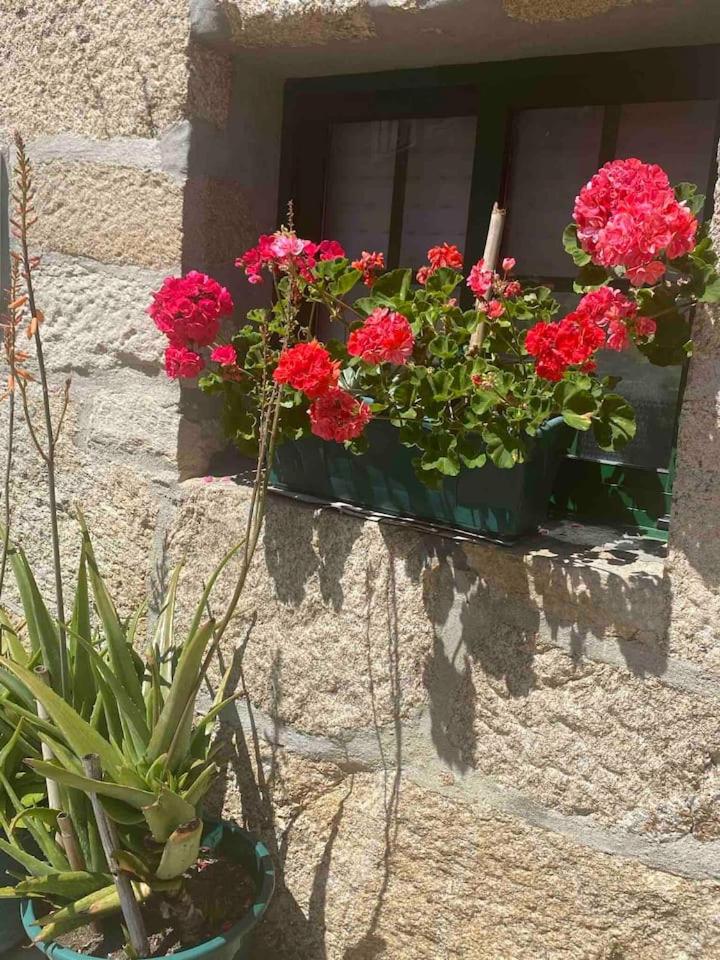 Rustica casa de piedra con vistas a la Ria y al Mar, by Adoorable - Housity