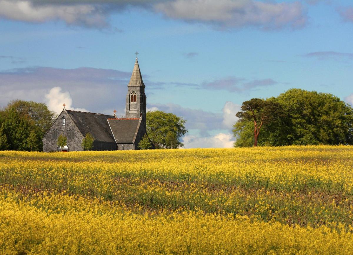 Old Court Holiday Homes 3 Bed - Sleeps 6 - Housity