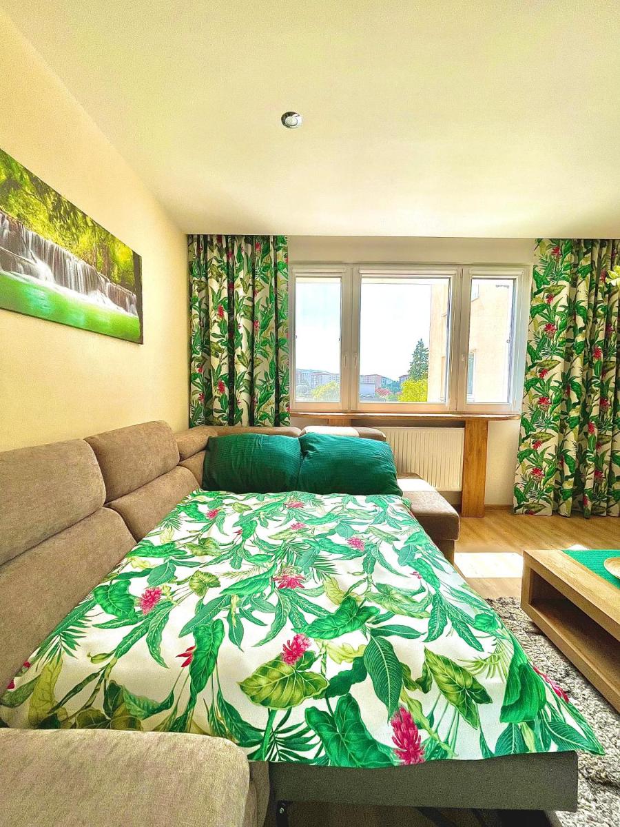 Modern & sunny studio - Housity