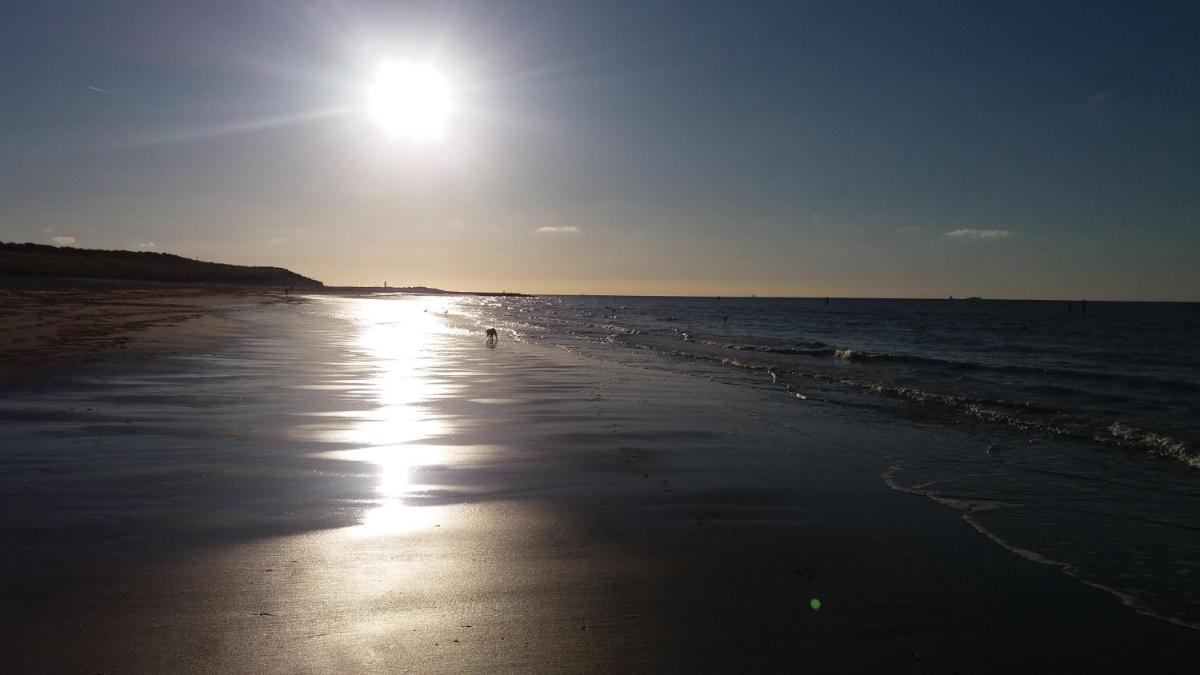 dreamingzeeland - Housity