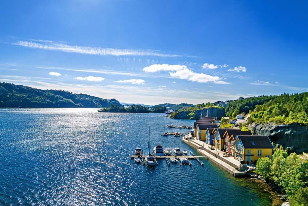 Scenic waterfront cabin - Housity