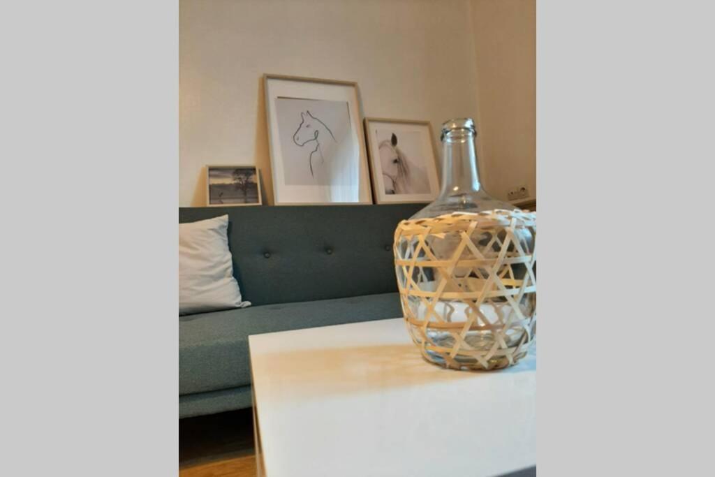 Gîte du Gavilu, appartement indépendant en cœur de ville - Housity