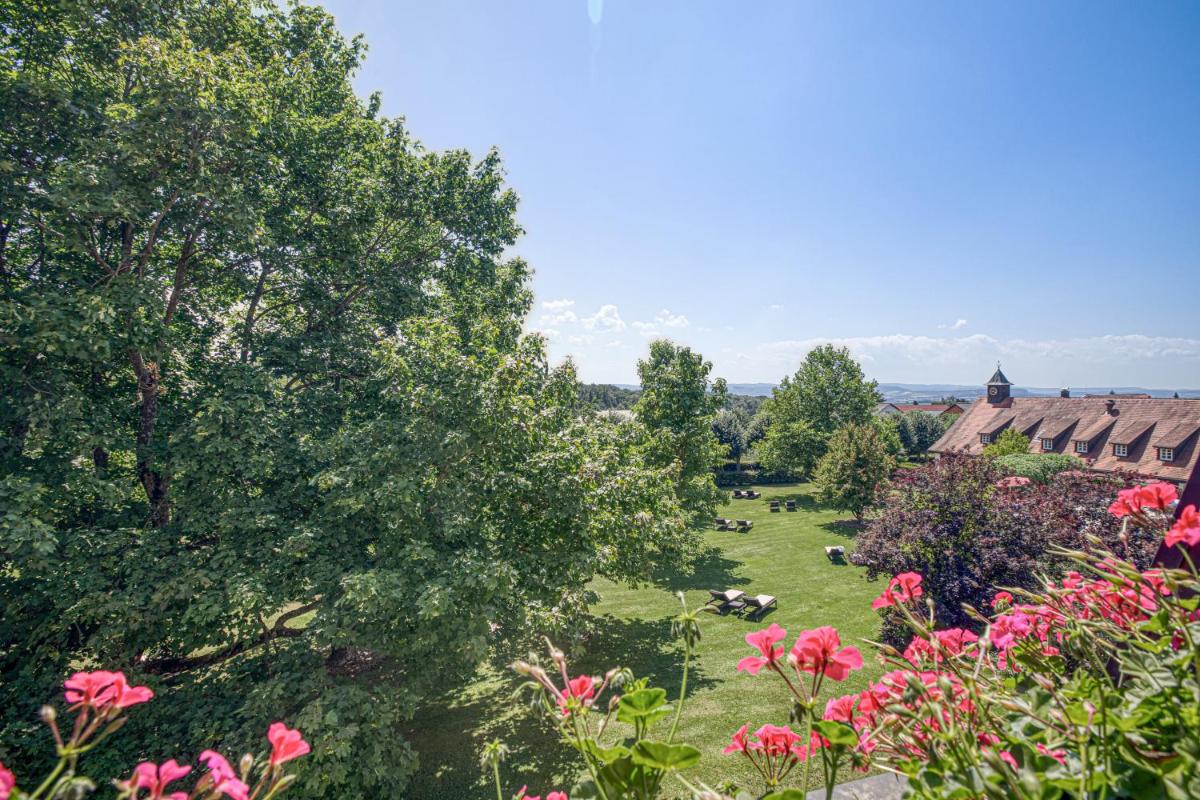 Ein Garten an der Unterkunft Wald & Schlosshotel Friedrichsruhe