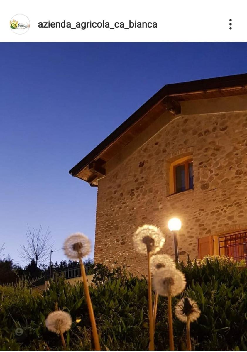 Azienda agricola Ca' Bianca Bio - Housity