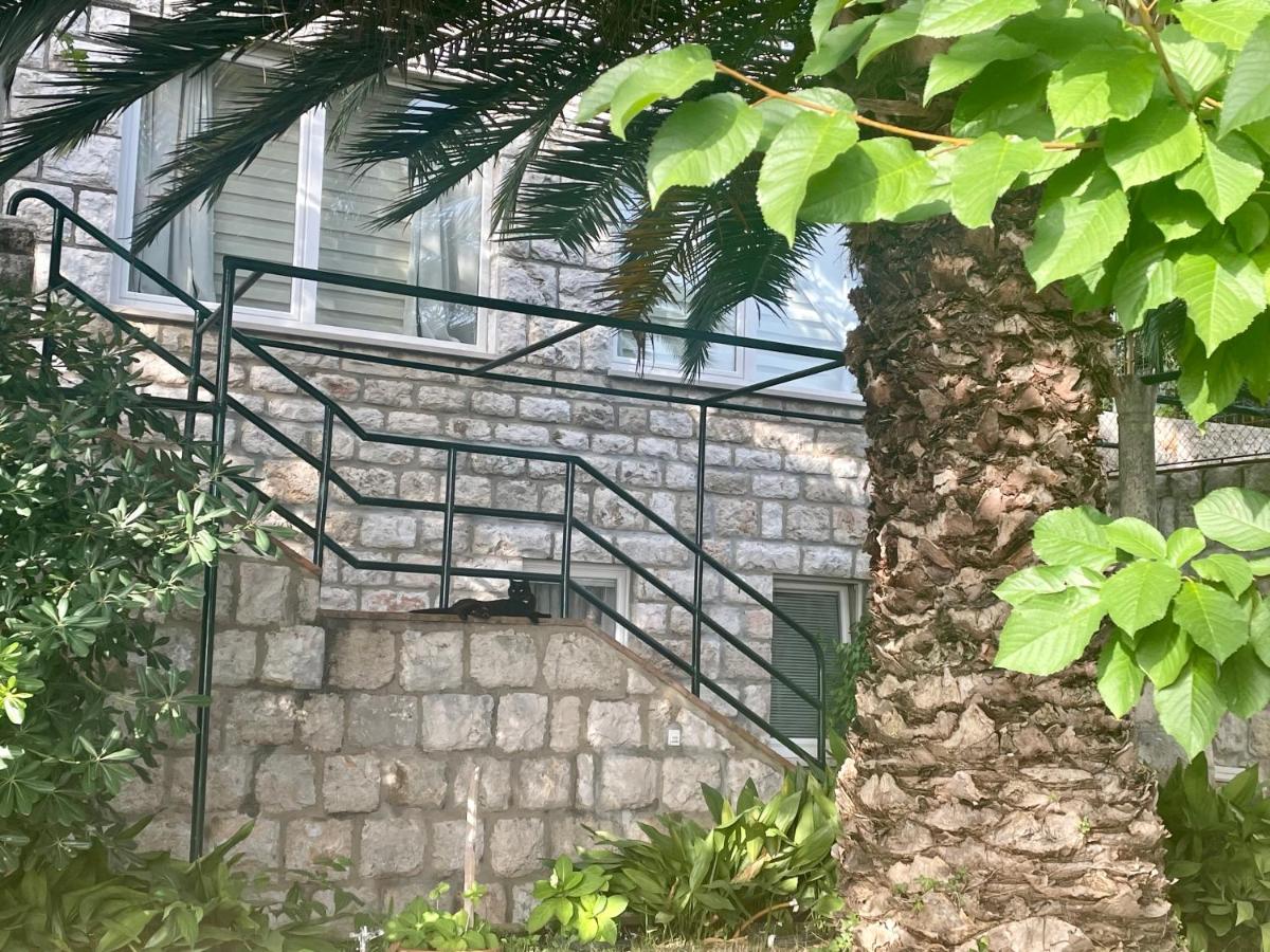 Ida Apartments - Housity