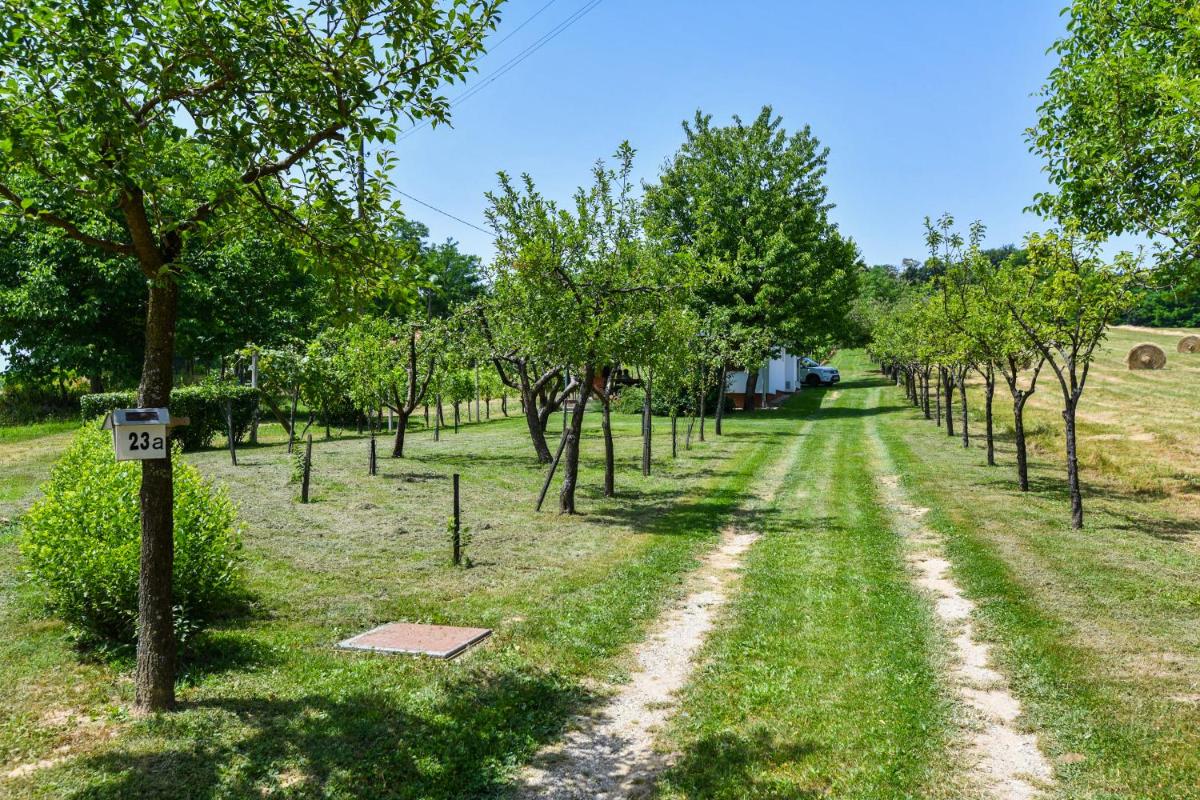 Vineyard, house with sauna, peace, self-check-in.. - Housity