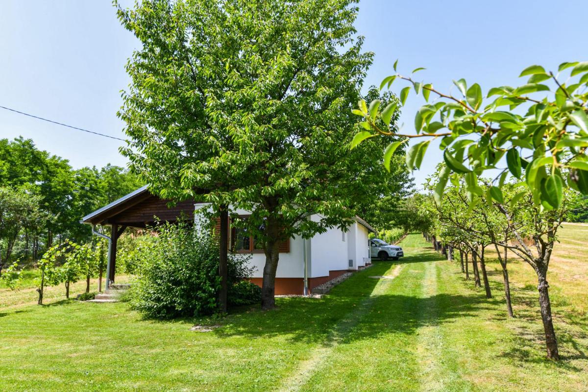Vineyard, house with sauna, peace, self-check-in.. - Housity