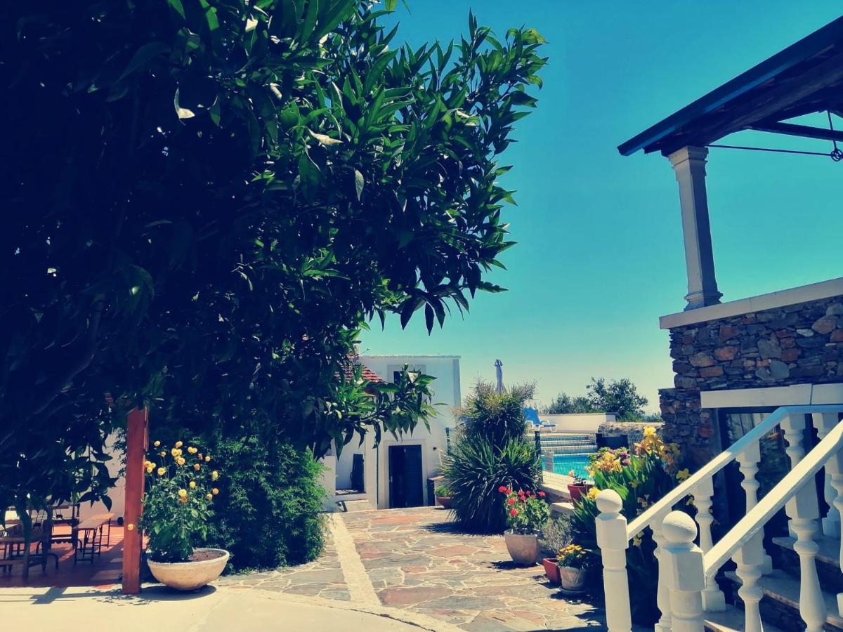 A Quinta da Colina Adega - Housity