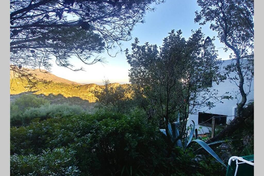 Casa Mariposa - Housity