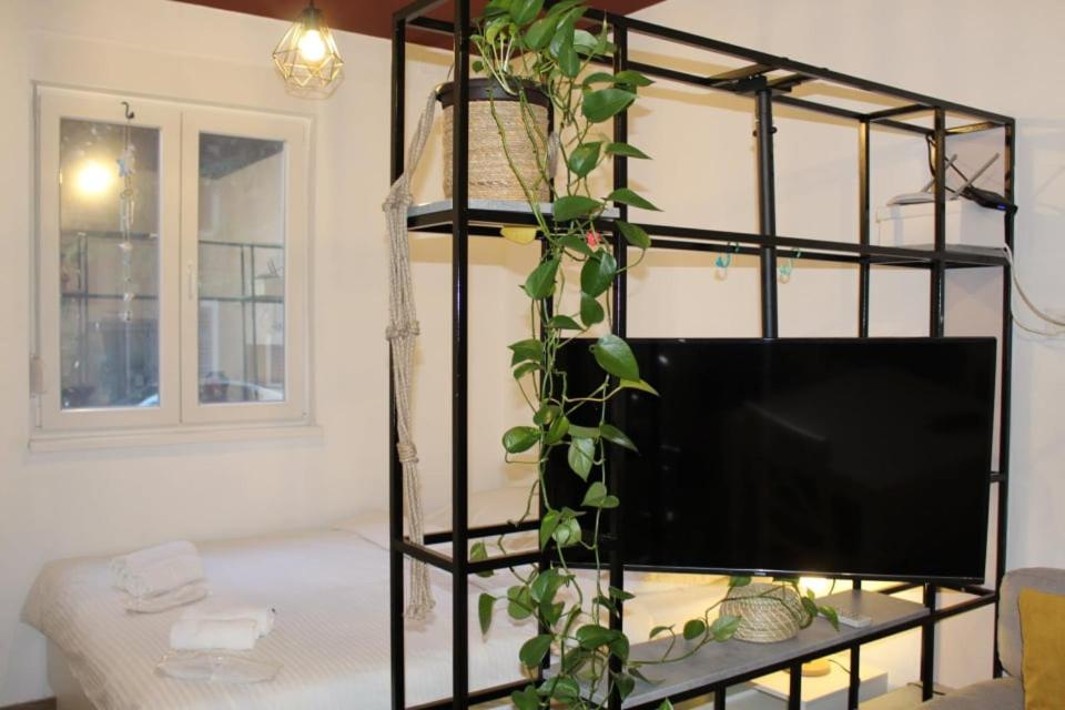 Apartman Tilia - Housity