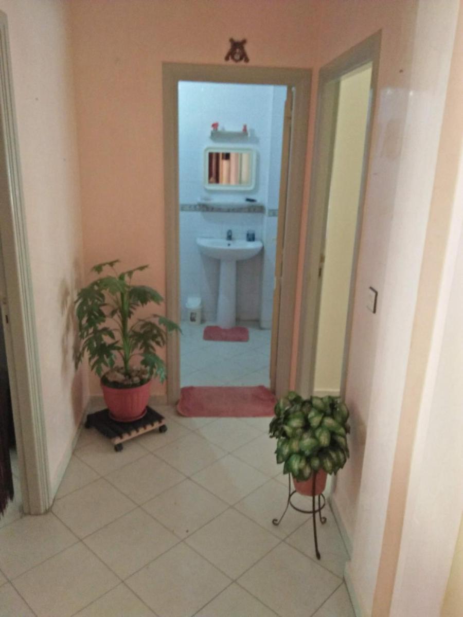 appartement-hiba - Housity