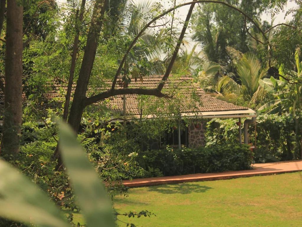 Red House 3BHK - Housity