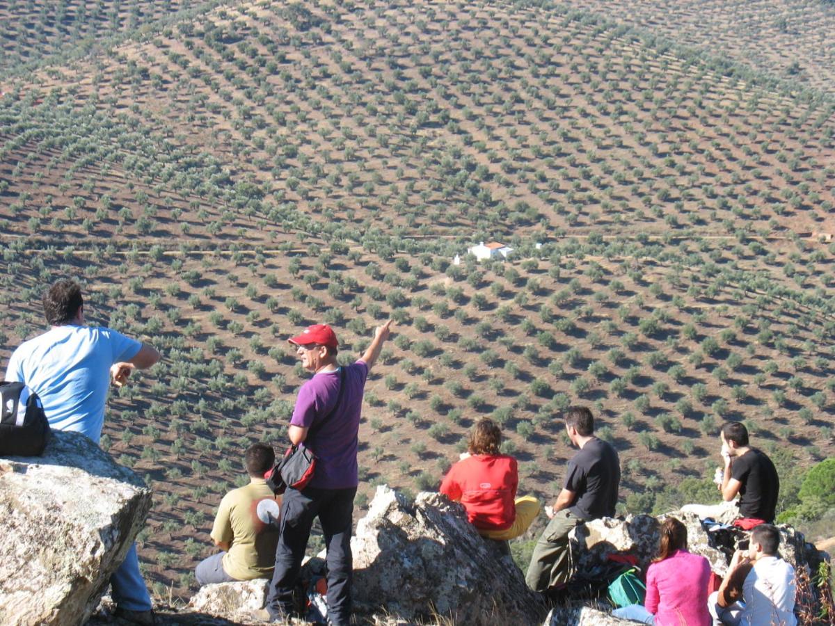 Cortijo "Era Grande 1" - Housity